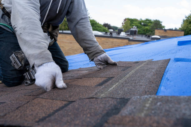 Best Storm Damage Roof Repair  in Talty, TX